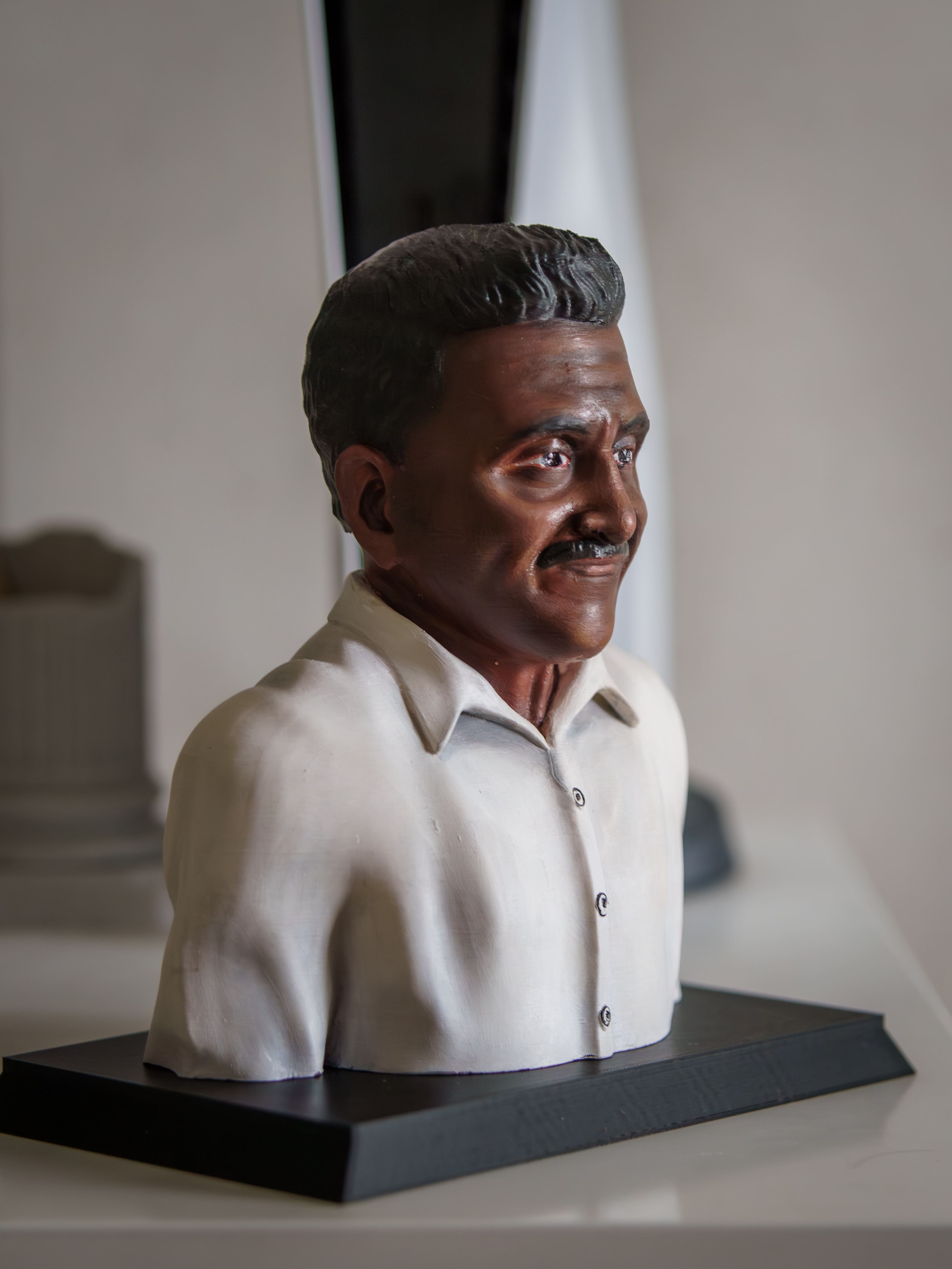 Custom 3D Printed Bust - 22cm Personalized Sculpture